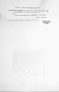 Image Associated With the Occurence